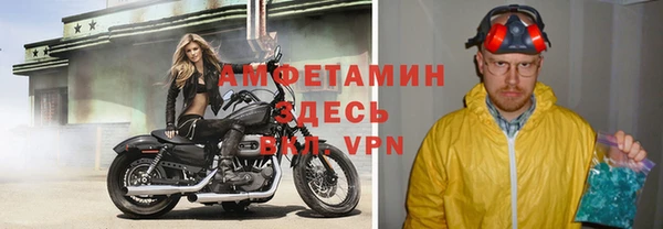 твердый Дмитровск