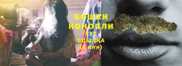 твердый Дмитровск