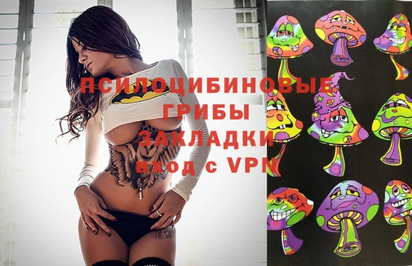 гашиш Дмитров