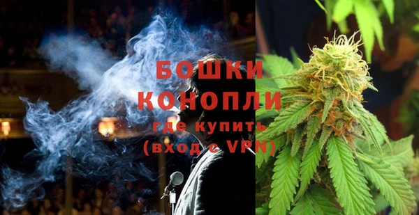 твердый Дмитровск