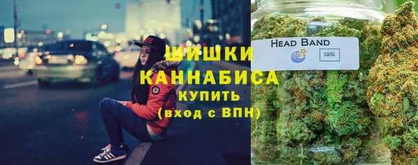 твердый Дмитровск