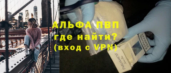 твердый Дмитровск
