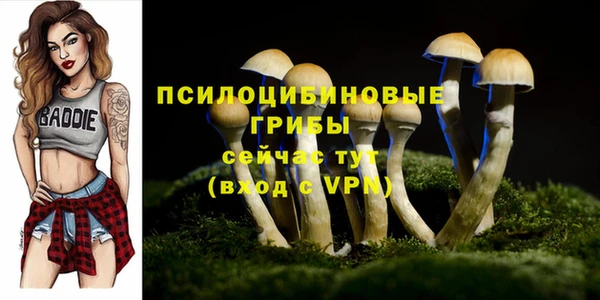 гашиш Дмитров
