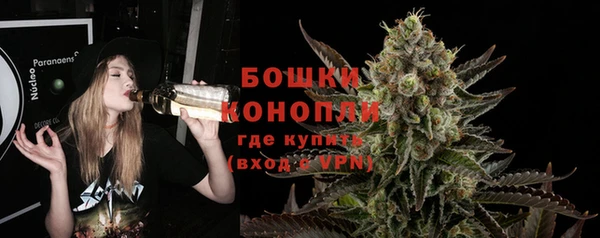 эйфоретик Дмитриев