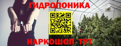 скорость Будённовск