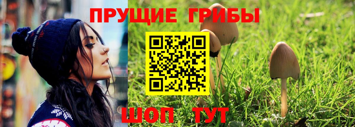 Псилоцибиновые грибы ЛСД  Вход с VPN  сколько стоит  Рузаевка  Псилоцибиновые грибы Magic Shrooms 